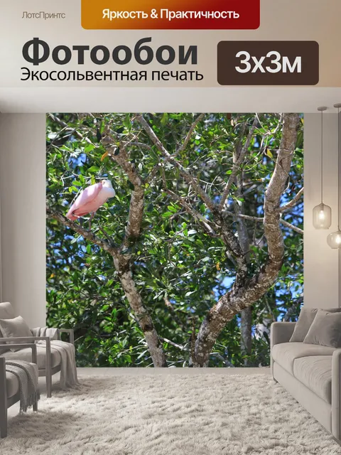 Фотообои Спящий розовый пеликан