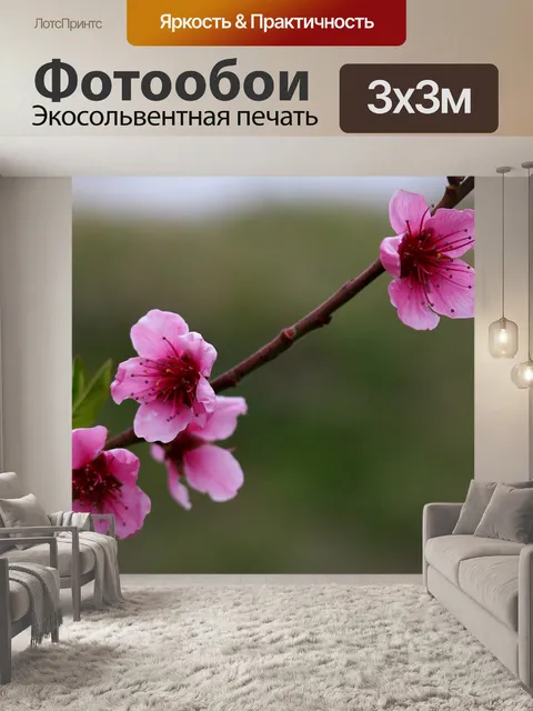 Фотообои Флора