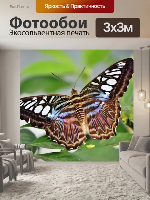 Фотообои Бабочка