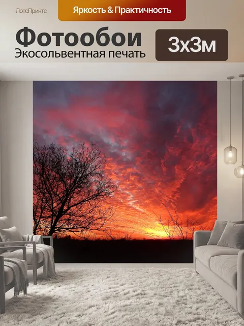 Фотообои Вуд