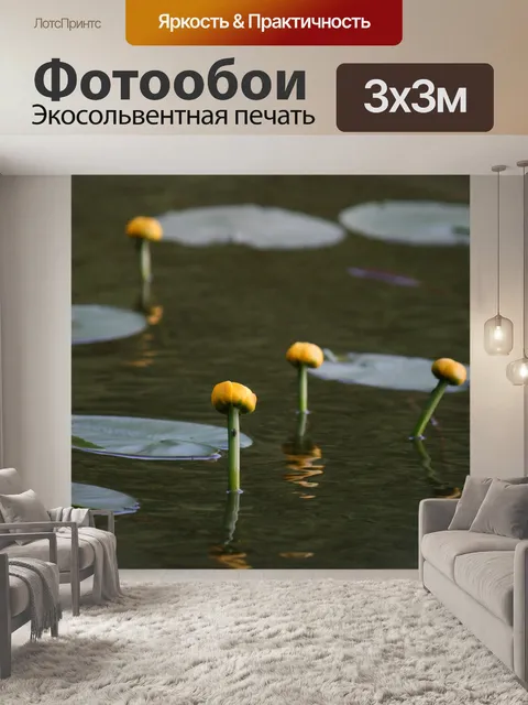 Фотообои Летом