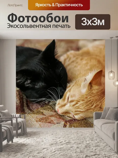 Фотообои Милый