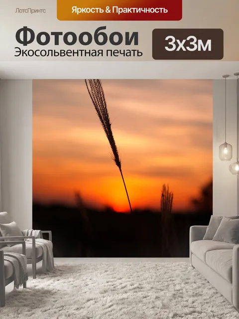 Фотообои Закат восход