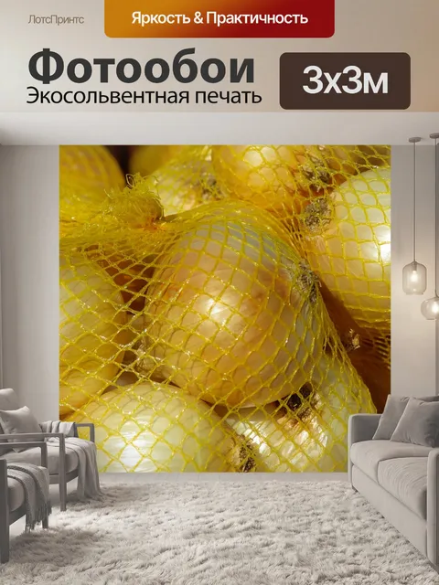 Фотообои Лук