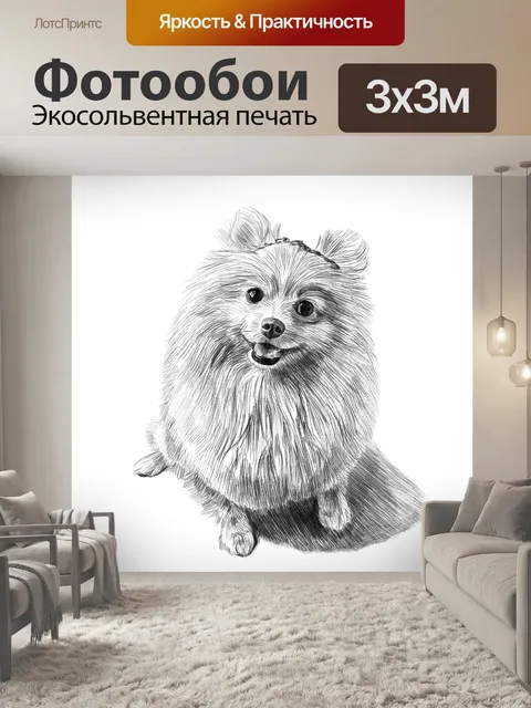 Фотообои Собака