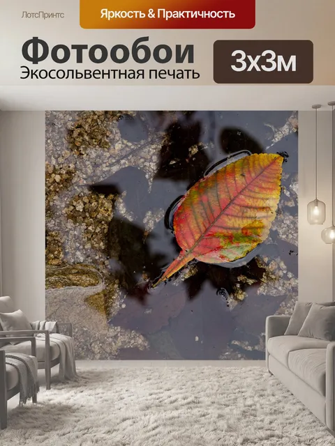 Фотообои Осень