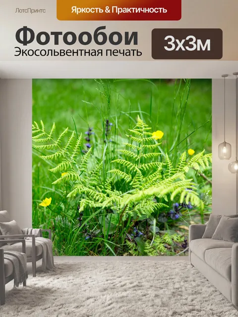 Фотообои папоротник