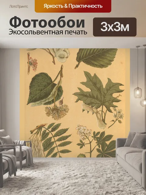 Фотообои Старинные ботанические растения эфемеры