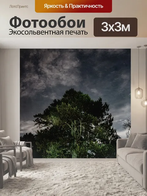 Фотообои Дерево