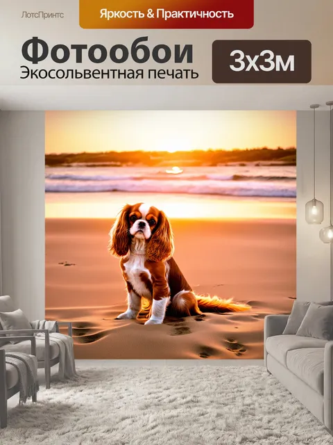 Фотообои интроспективная фотография в стиле минимализма