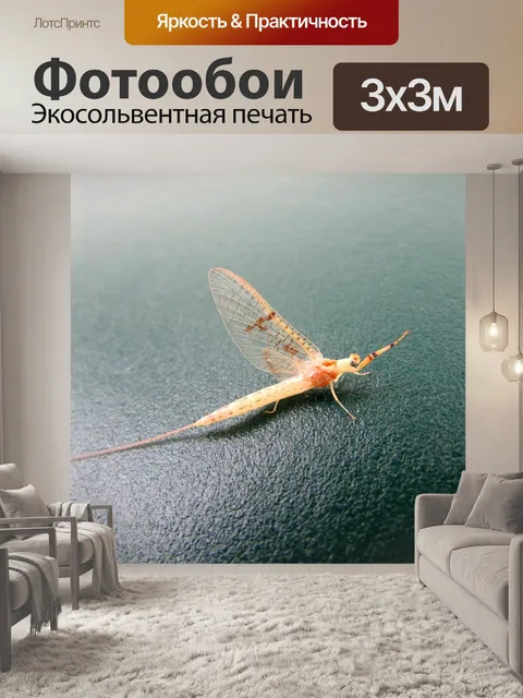 Фотообои Насекомое