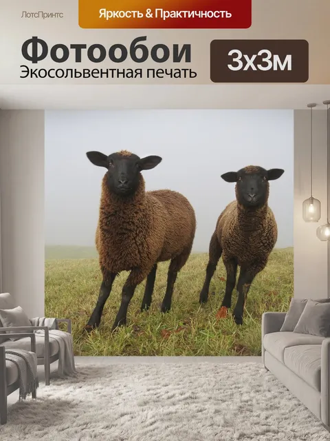 Фотообои Туман