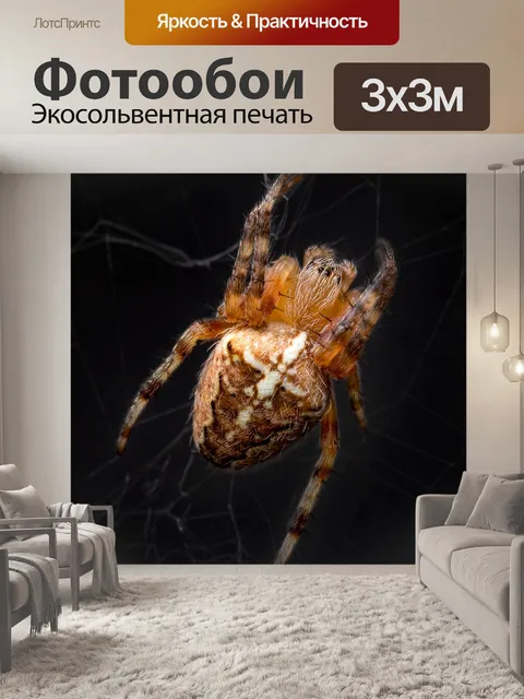 Фотообои Животное