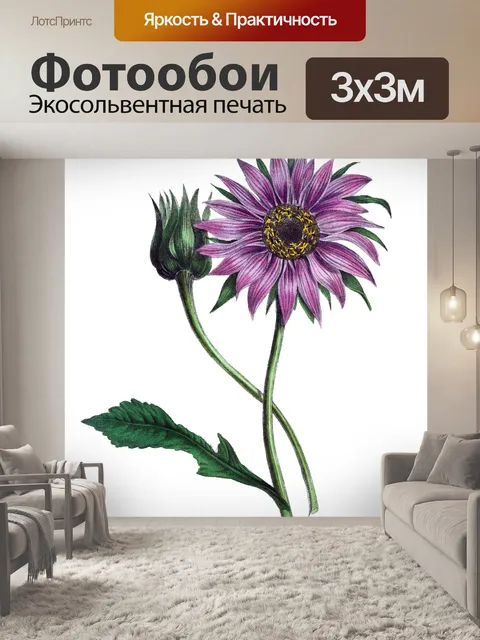 Фотообои Цветок Фиолетовый Винтажное Искусство