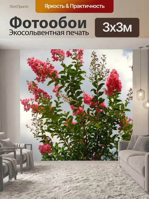 Фотообои Розовый Креп Миртл Дерево
