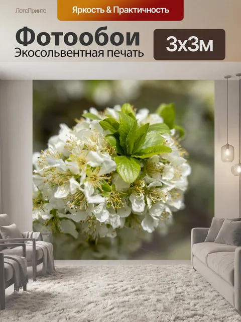 Фотообои Цветы