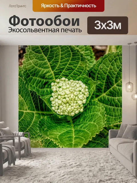 Фотообои Листья