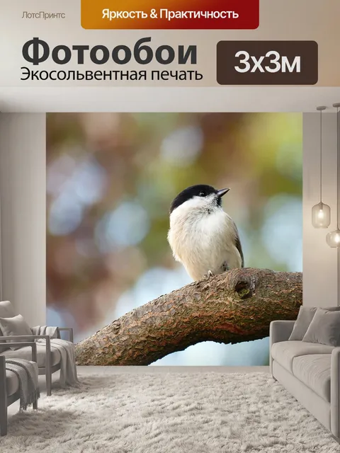 Фотообои Животное