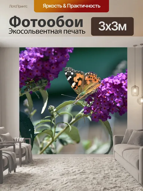 Фотообои бабочка на лаванде