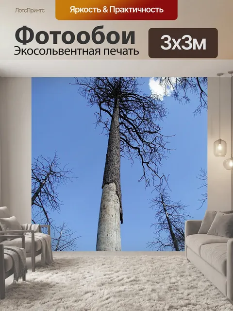 Фотообои Пожар