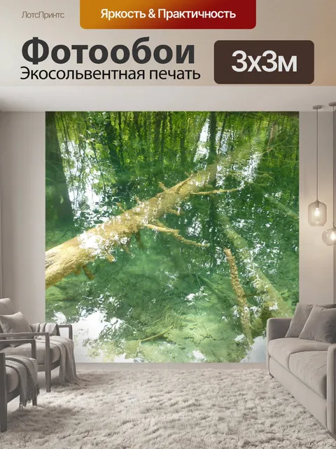 Фотообои Деревья