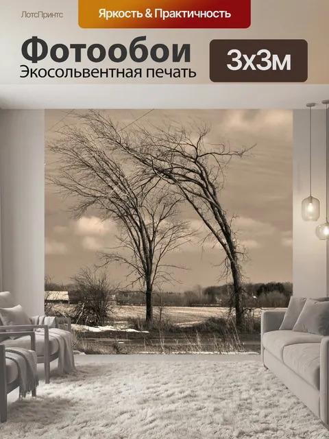 Фотообои Деревья