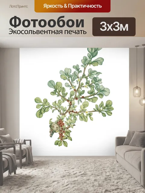 Фотообои Винтажная иллюстрация растений