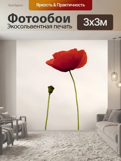 Фотообои Красный мак