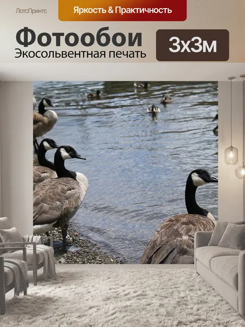 Фотообои Птица