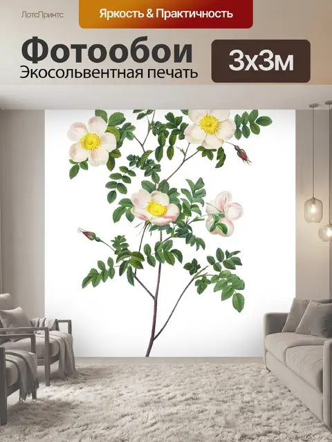 Фотообои Роза Винтаж Искусство Клипарт