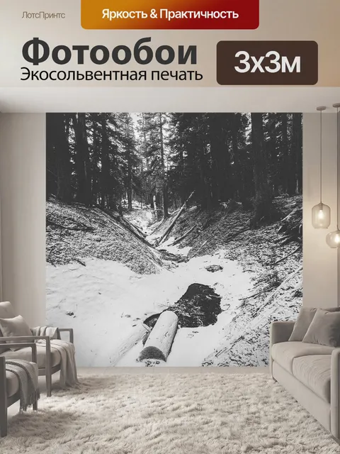 Фотообои Лес