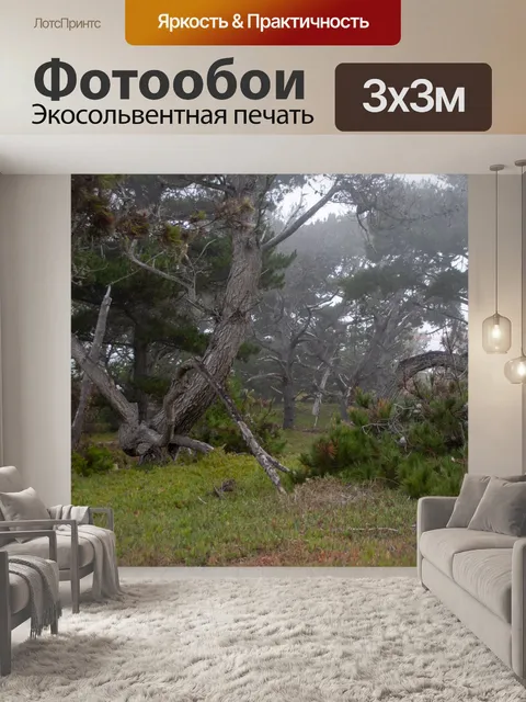 Фотообои Деревенский лес