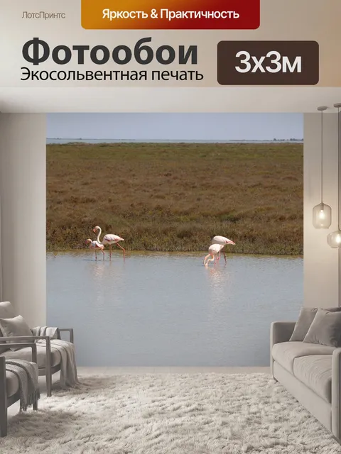 Фотообои Фламинго