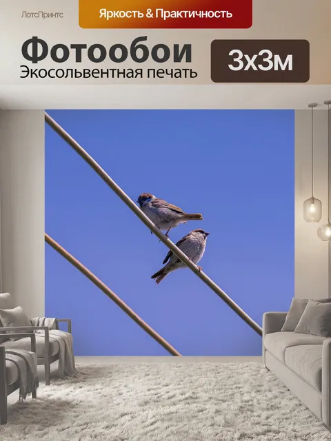 Фотообои Птицы