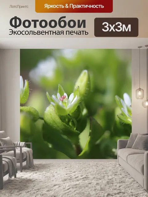 Фотообои Природа