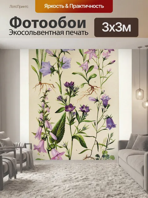Фотообои Цветочная иллюстрация полевых цветов ста