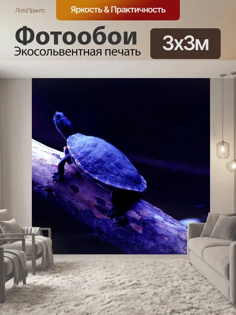 Фотообои Природа