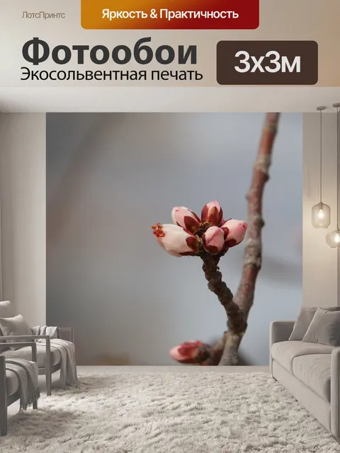 Фотообои Персиковые цветы
