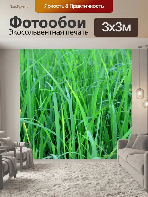 Фотообои Зеленое рисовое поле