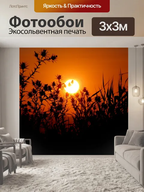 Фотообои Закат