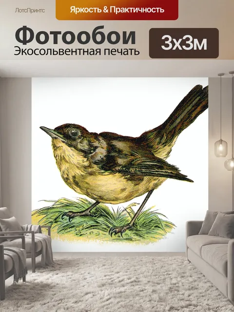 Фотообои Птица винтаж искусство старый
