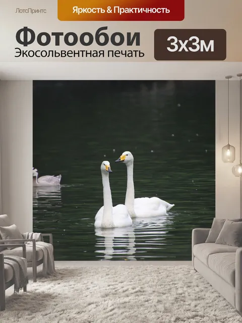 Фотообои Лебеди