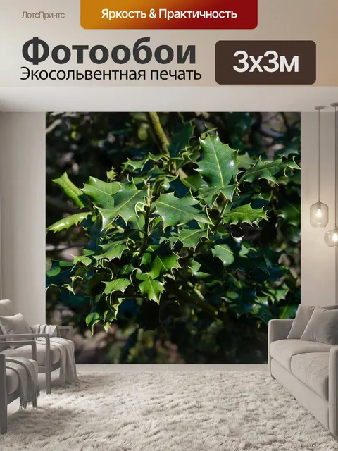 Фотообои Растения