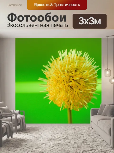 Фотообои Зеленое семя Белый цветок попинака
