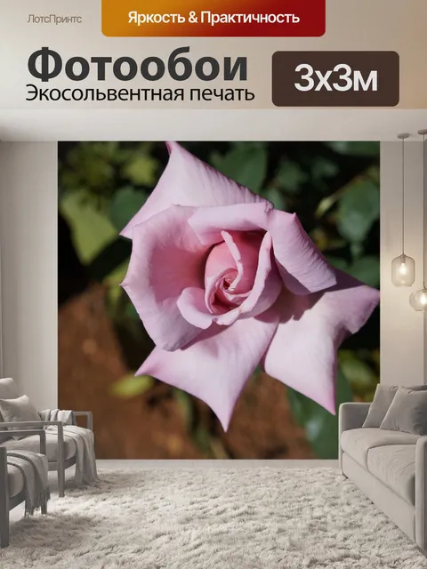 Фотообои Роза