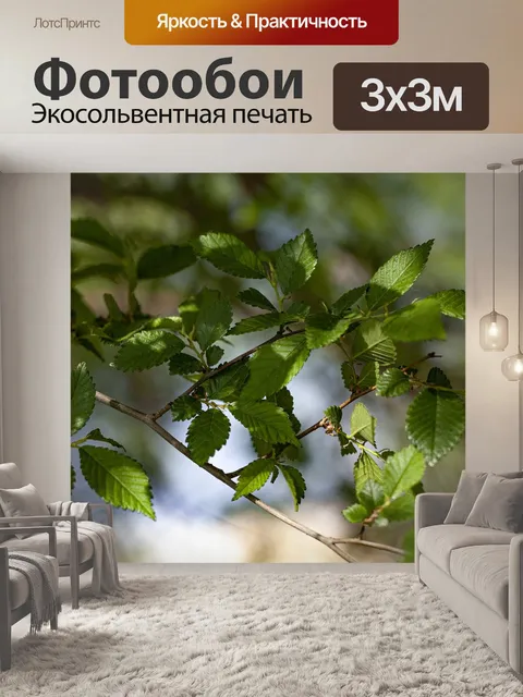 Фотообои Дерево