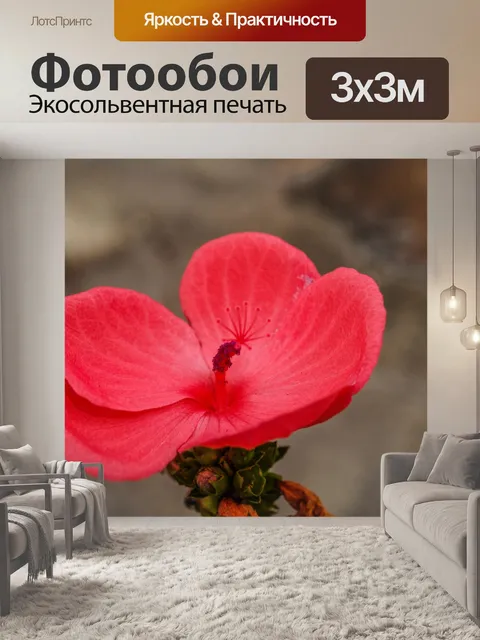 Фотообои Трава цветочное поле
