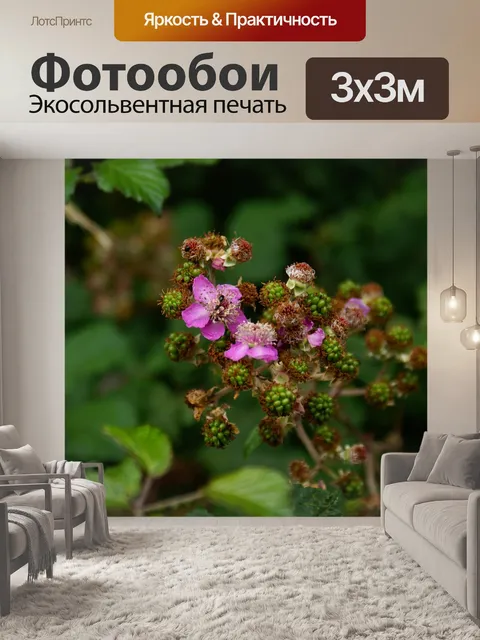 Фотообои Цветок