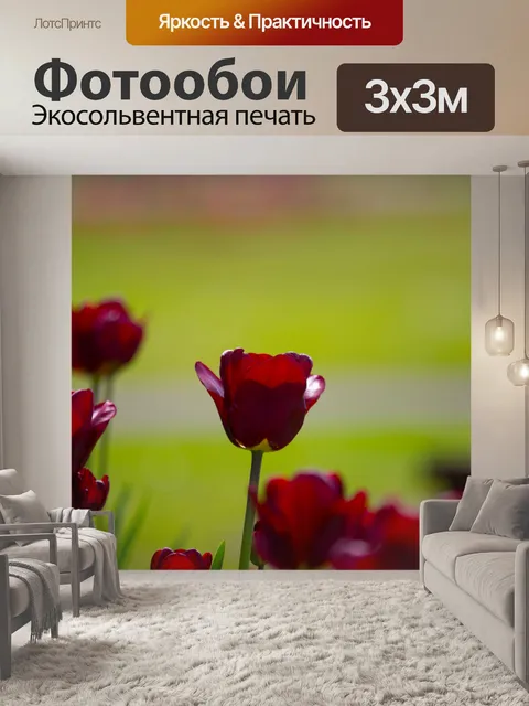 Фотообои Цветы