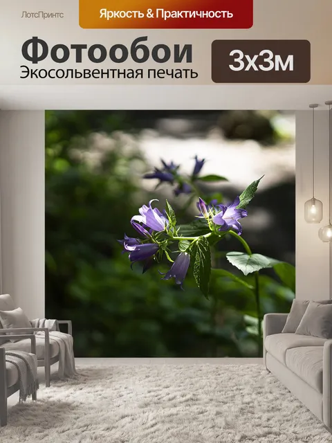 Фотообои Цветы